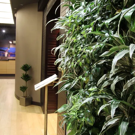 Conde Duque מלון