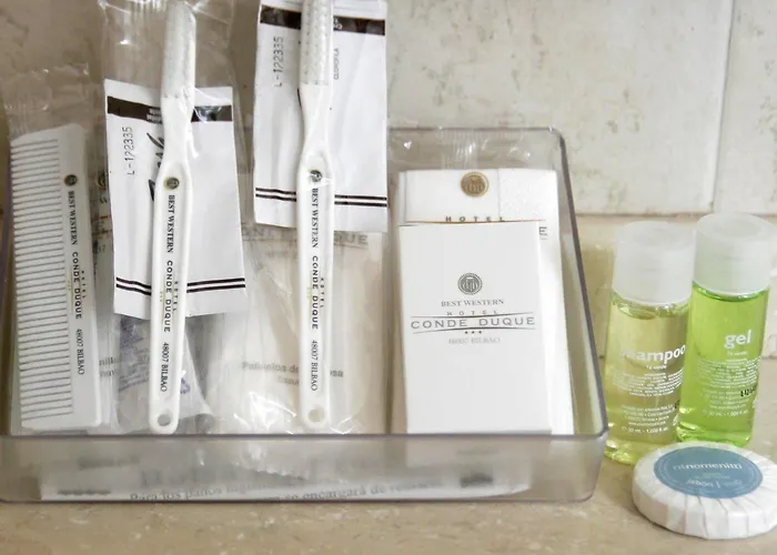 オテル コンデ ドゥーケ ビバー ビルバオ